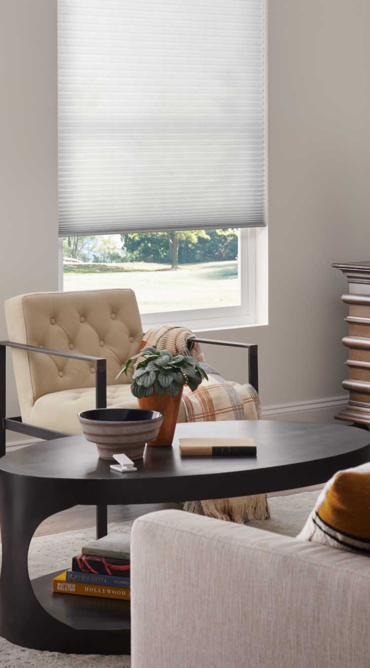 Living room with light-filtering Architectural honeycomb shades