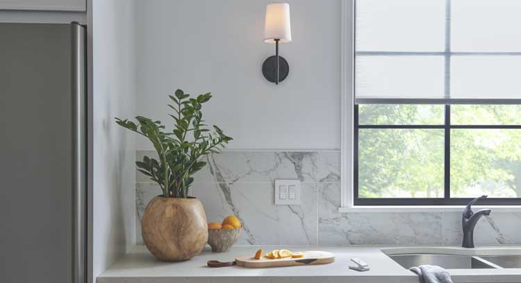 Diva switch on wall above kitchen counter with cutting board, fruit, a plant, and a Pico remote